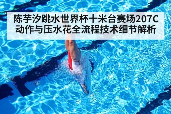 陈芋汐跳水世界杯十米台赛场207C动作与压水花全流程技术细节解析